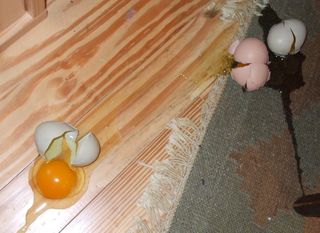 Broken eggs