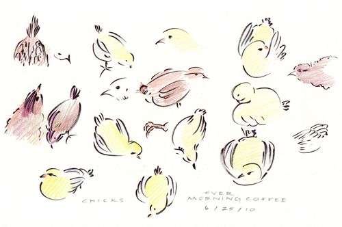 Chick sketches Chick sketches
