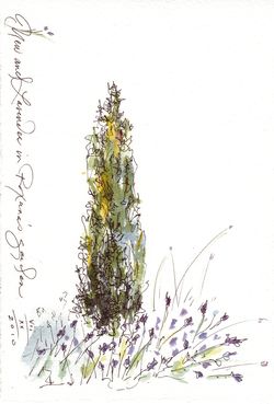 Gardensketch2