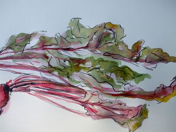 Beet greens Beet greens