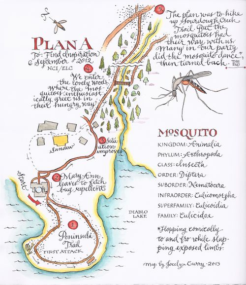 Mosquito map