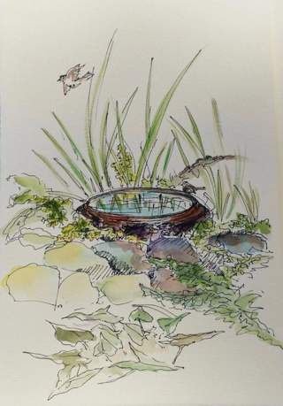 20160531_111613_resized