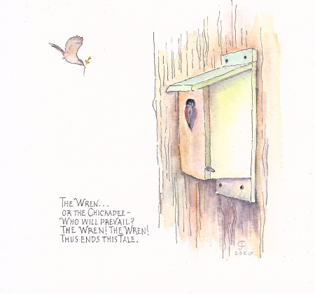 Nest box drawing